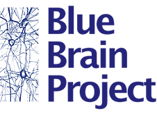 Blue Brain Project